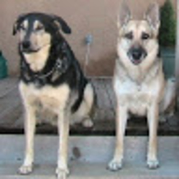 Meet your Posher - Picture 1 of 1